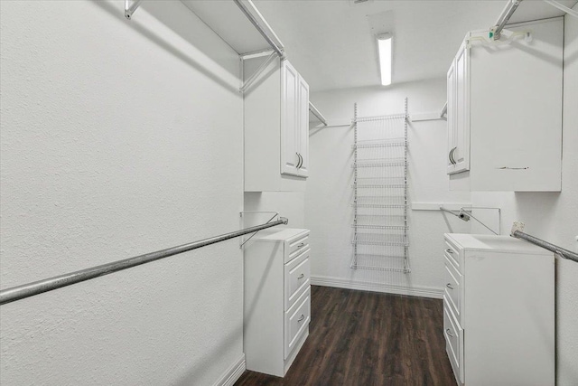 spacious closet with dark hardwood / wood-style flooring