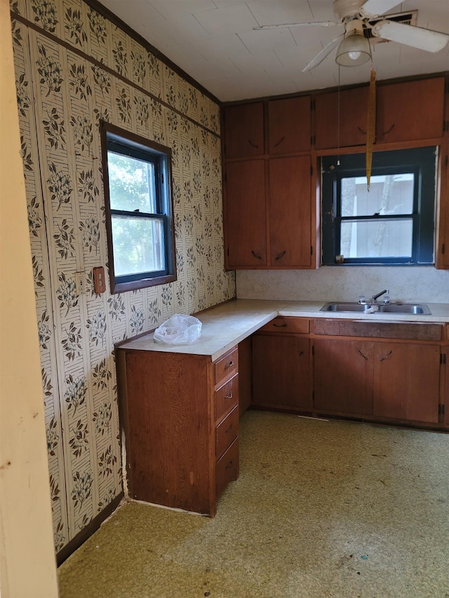 kitchen with ceiling fan, crown molding, and sink