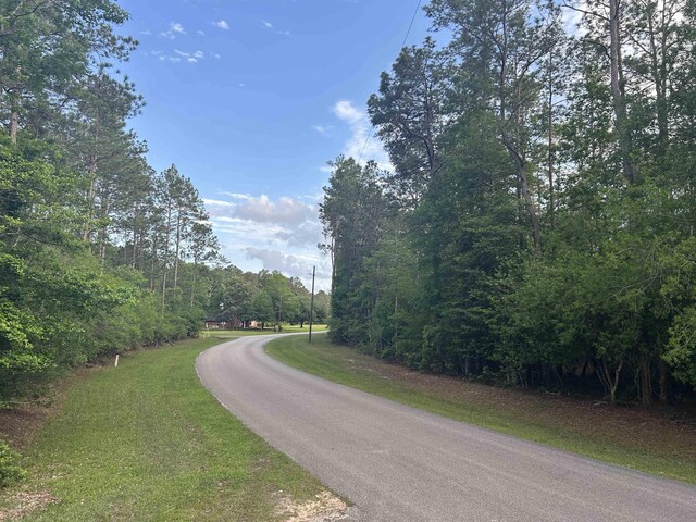 LOT8 E Wildwood Dr, Village Mills, TX 77663 - photo 6