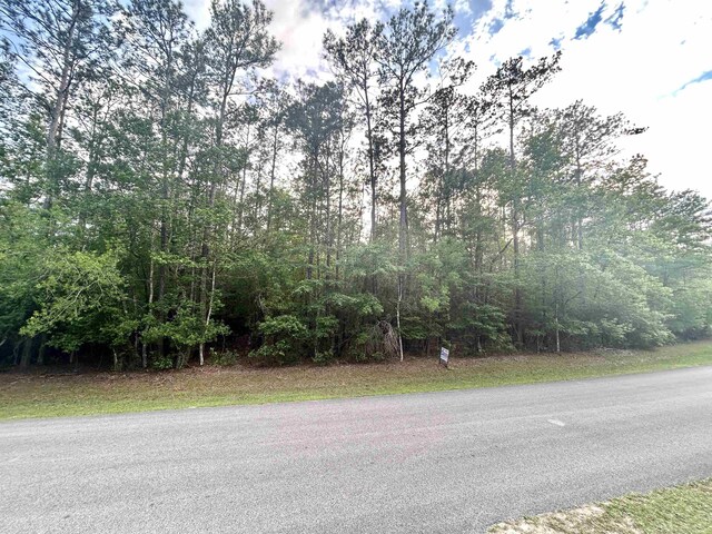 LOT8 E Wildwood Dr, Village Mills, TX 77663 - photo 3