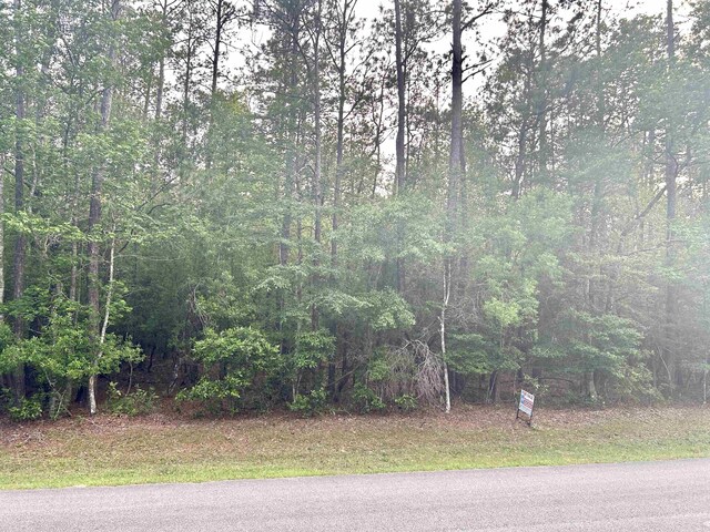 LOT8 E Wildwood Dr, Village Mills, TX 77663 - photo 4