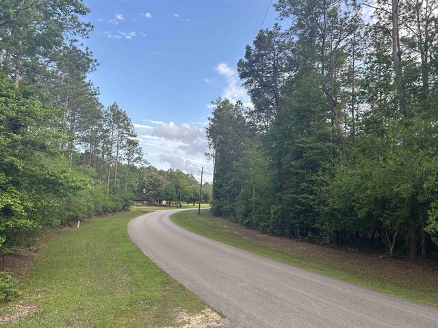 LOT8 E Wildwood Dr, Village Mills, TX 77663 - photo 5