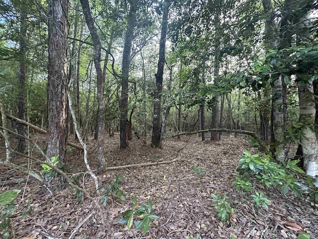 LOT8 E Wildwood Dr, Village Mills, TX 77663 - photo 1