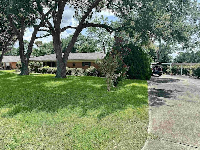 view of front of property featuring a front yard