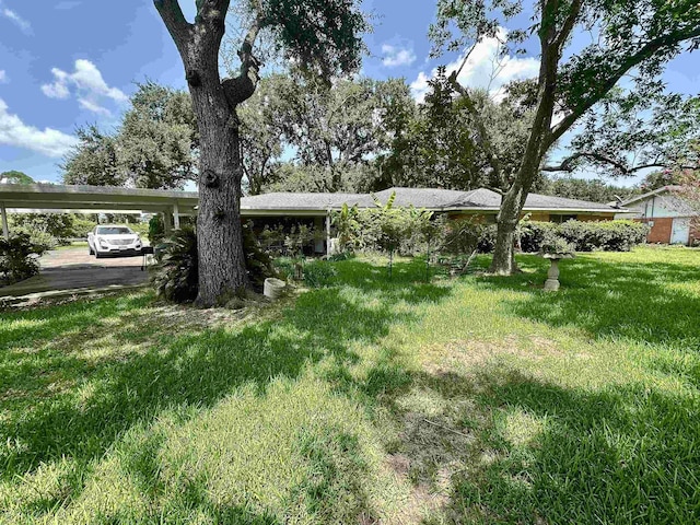 view of front of house with a front yard and a carport