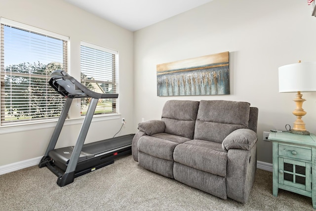 exercise room featuring carpet flooring