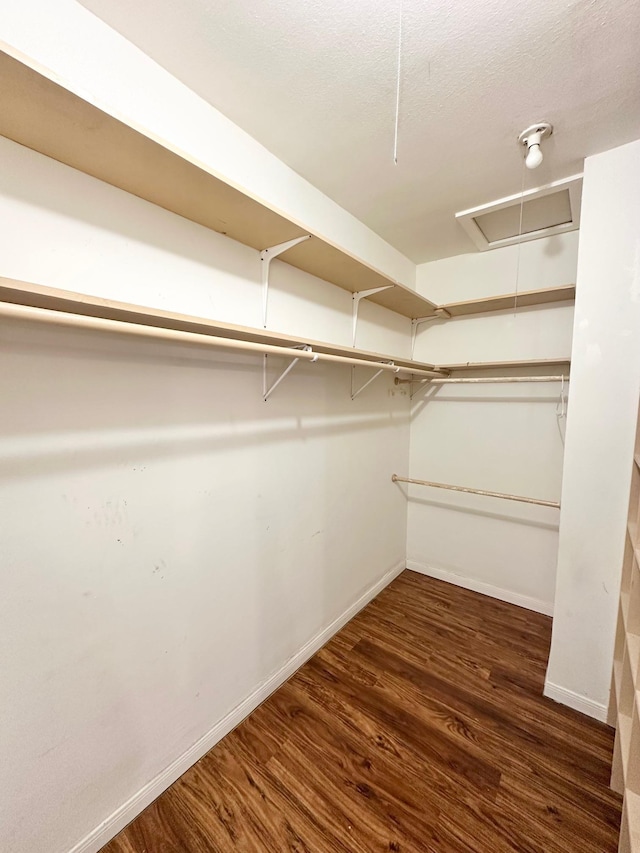 spacious closet with dark wood-type flooring