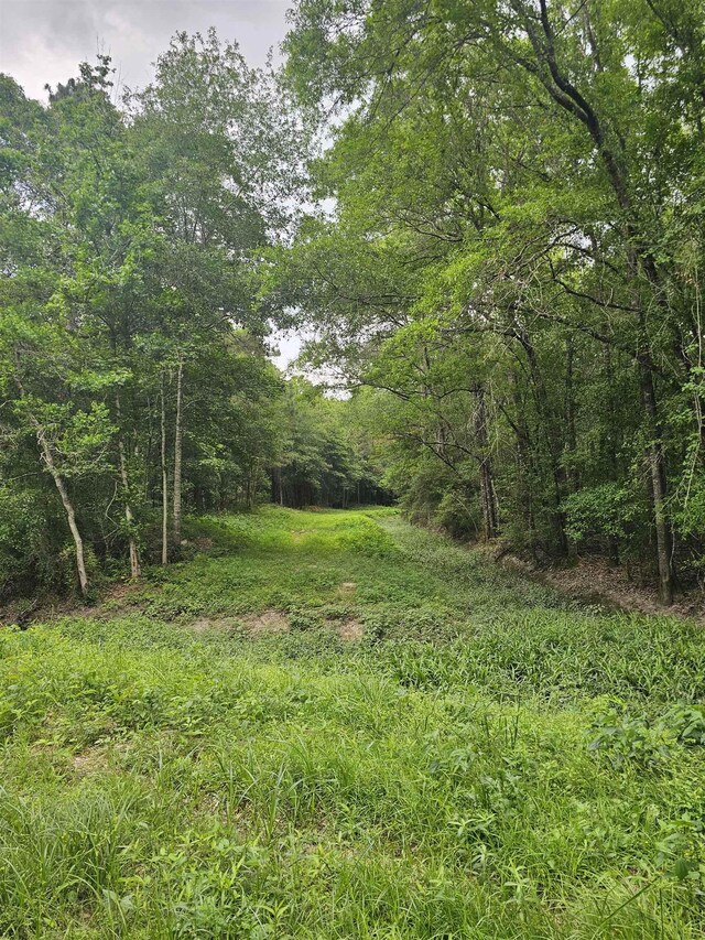 Oldbury Rd, Vidor, TX 77662
