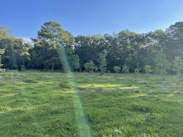 view of nature with a rural view