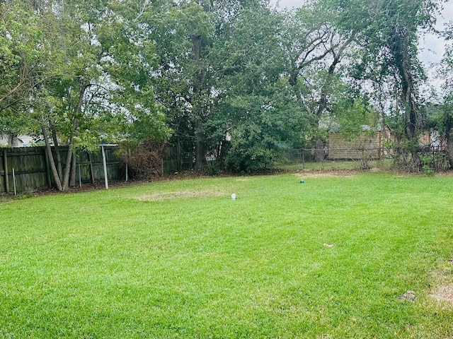 4350 Dallas Ave, Beaumont, TX 77703 - view of yard