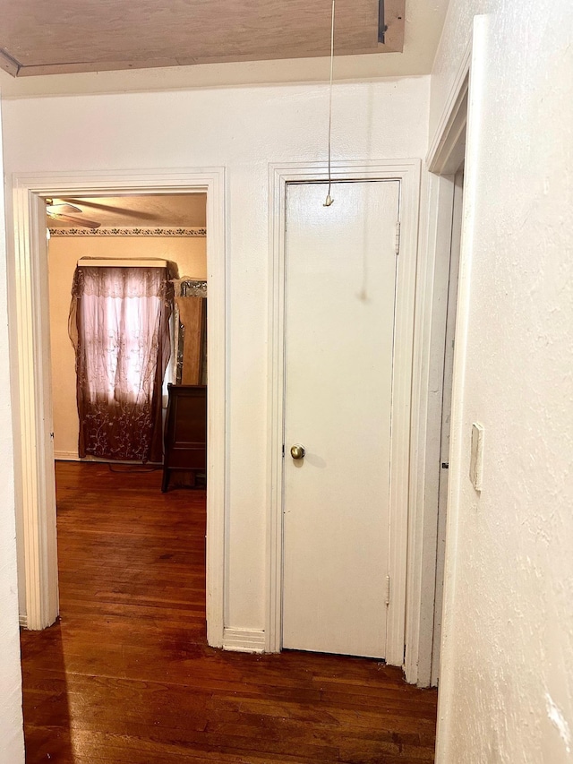 hallway with dark wood-type flooring