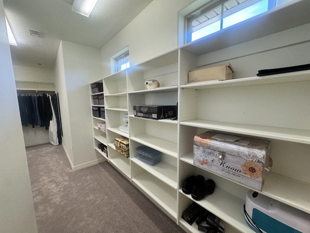 156 Remington Cir, Lumberton, TX 77657 - view of storage