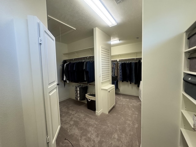 156 Remington Cir, Lumberton, TX 77657 - walk in closet with attic access and carpet floors