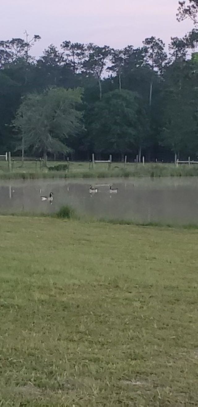 5670 Fm 770, Kountze, TX 77625 - photo 4