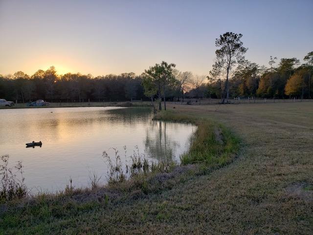 5670 Fm 770, Kountze, TX 77625 - photo 14