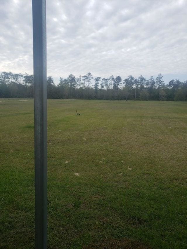5670 Fm 770, Kountze, TX 77625 - photo 6