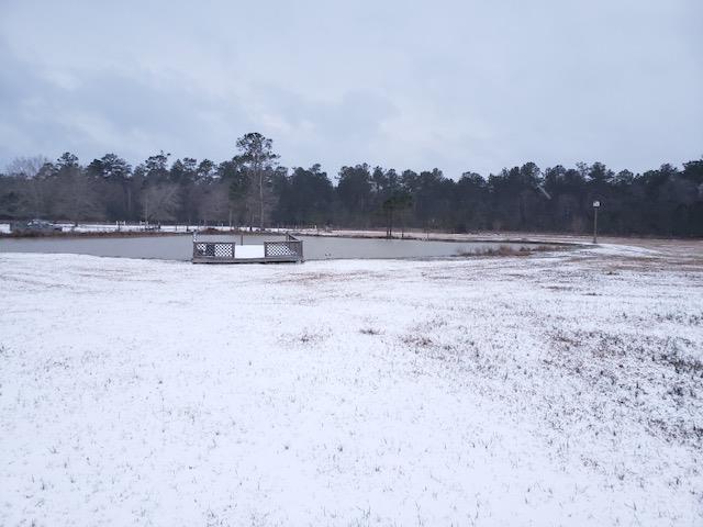 5670 Fm 770, Kountze, TX 77625 - photo 9
