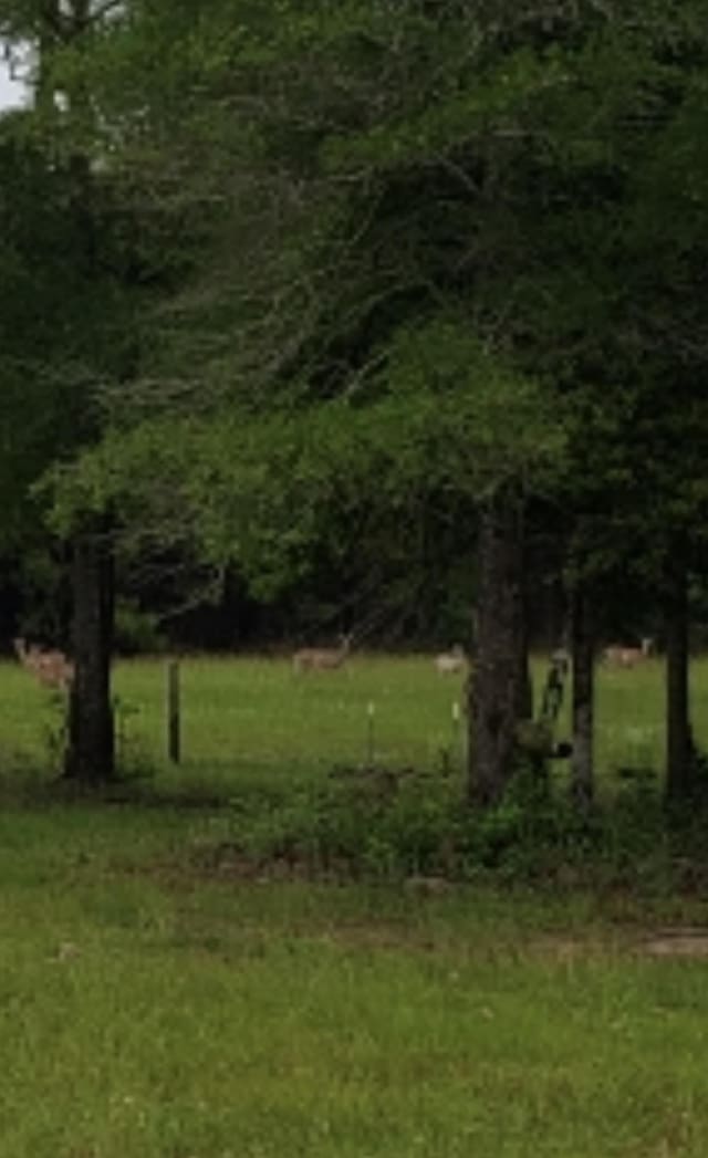 5670 Fm 770, Kountze, TX 77625 - photo 15
