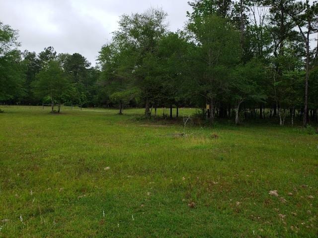 5670 Fm 770, Kountze, TX 77625 - photo 8