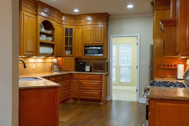 kitchen with tasteful backsplash, dark hardwood / wood-style floors, sink, crown molding, and appliances with stainless steel finishes