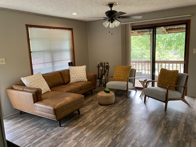 living room featuring ceiling fan and dark hardwood / wood-style floors