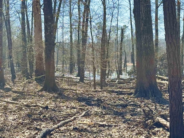 view of nature featuring a forest view