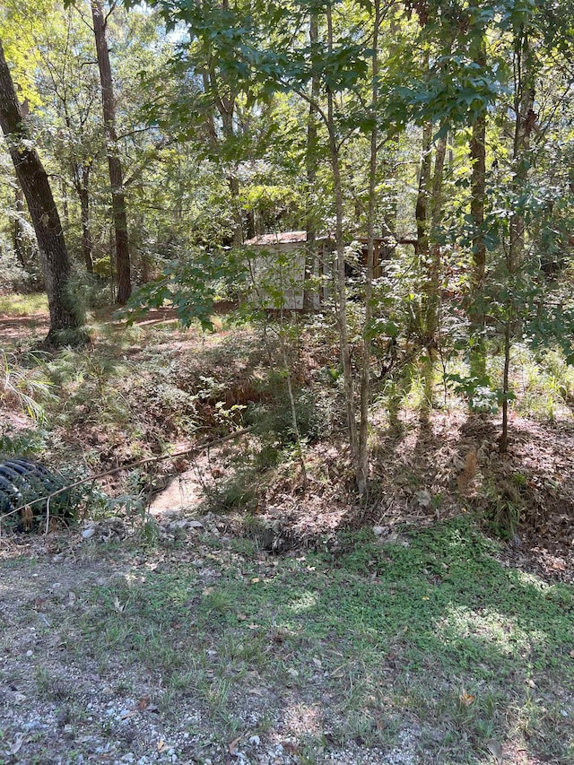 Listing photo 3 for TBD Neuces Dr, Trinity TX 75862