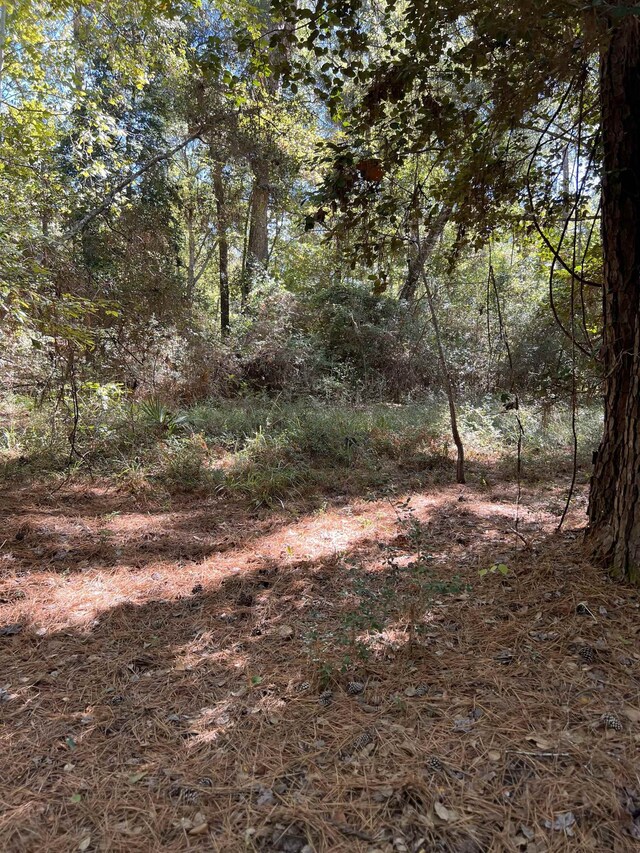 TBD Neuces Dr, Trinity, TX 75862