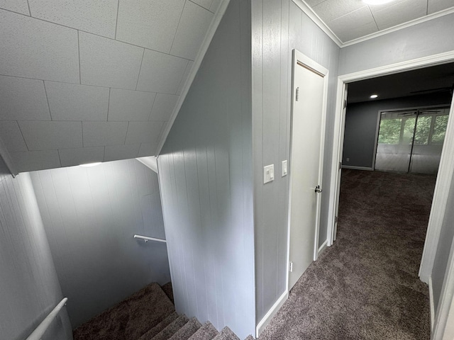 staircase featuring carpet floors, wooden walls, and ornamental molding