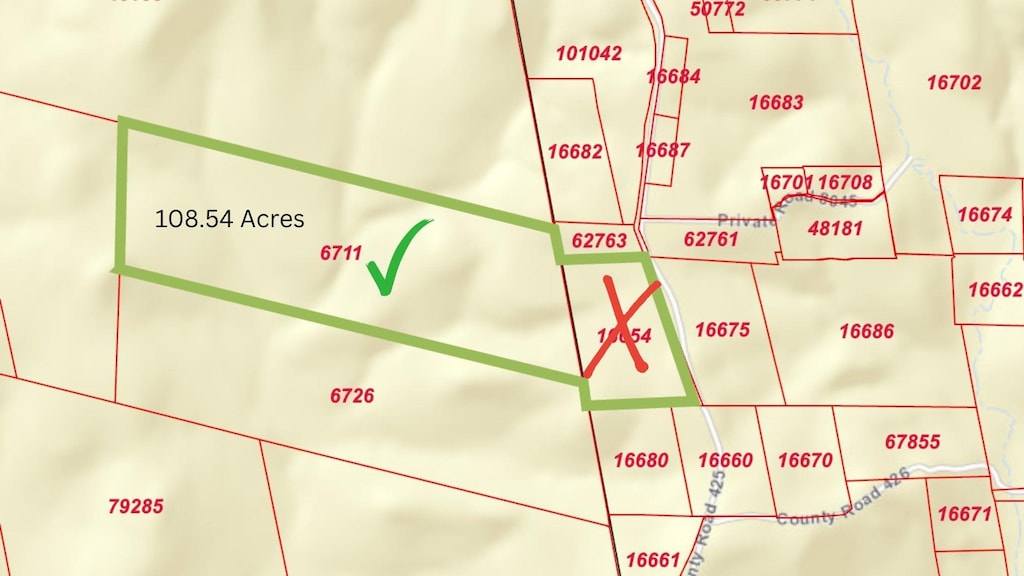 TBD County Road 425, Kirbyville, TX 75956