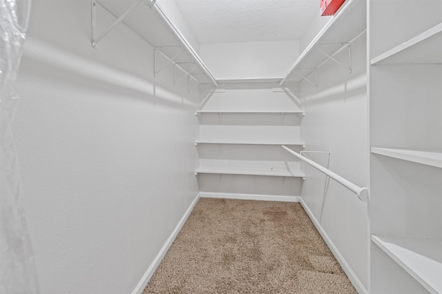 spacious closet featuring light carpet