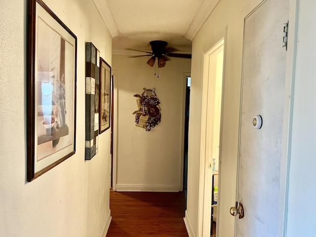 hall with dark wood-type flooring, a textured ceiling, and ornamental molding