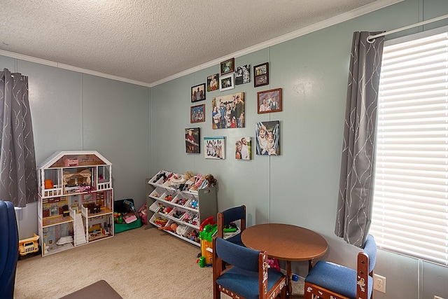 playroom with crown molding, carpet, and a textured ceiling