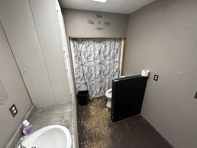 bathroom with wood-type flooring, vanity, and toilet