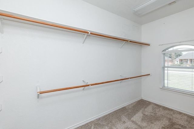 spacious closet with light carpet