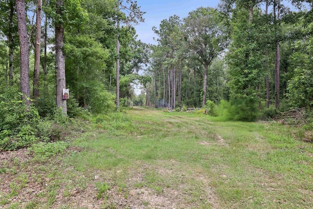 3705 Haynes Loop, Kountze, TX 77625
