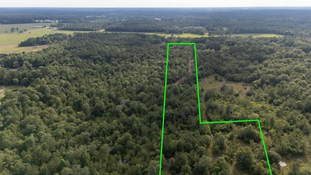 3705 Haynes Loop, Kountze, TX 77625