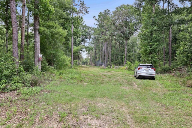 3705 Haynes Loop, Kountze, TX 77625