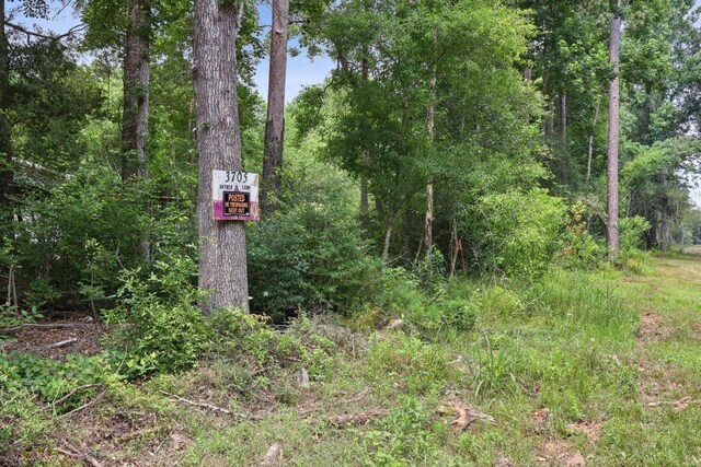 3705 Haynes Loop, Kountze, TX 77625