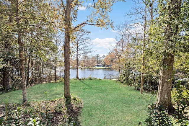 view of yard featuring a water view