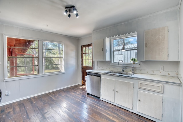 kitchen with a sink, stainless steel dishwasher, plenty of natural light, and dark wood-style flooring