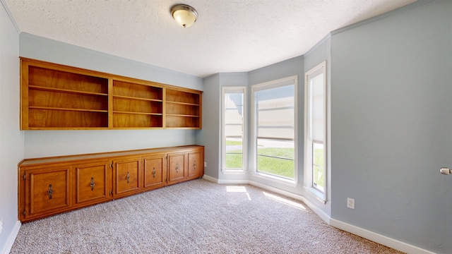 spare room with a textured ceiling, baseboards, light colored carpet, and ornamental molding