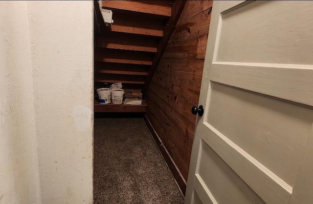 spacious closet with carpet