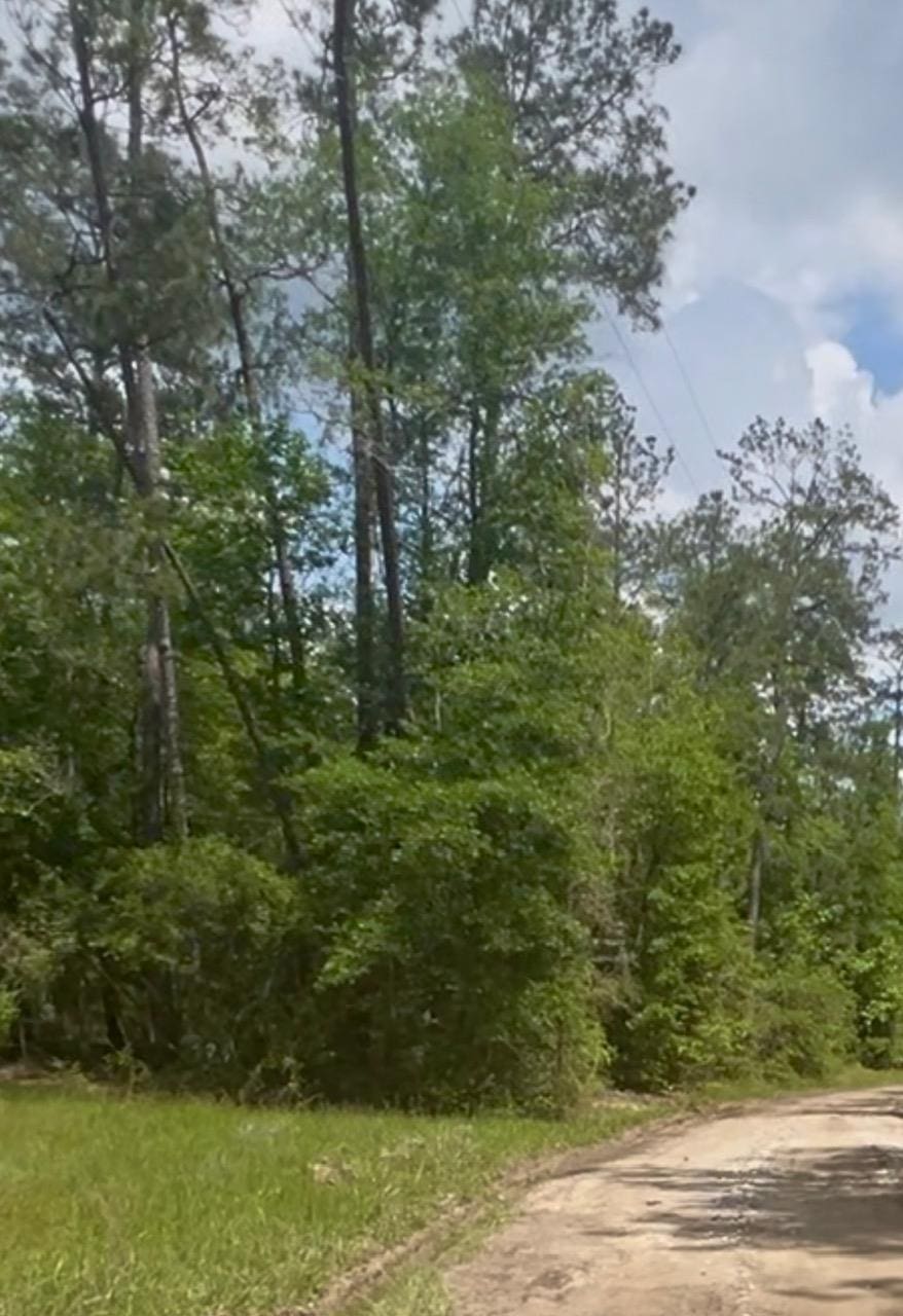 205 Pvt Rd Unit 5172, Kirbyville, TX 75956 - photo 1