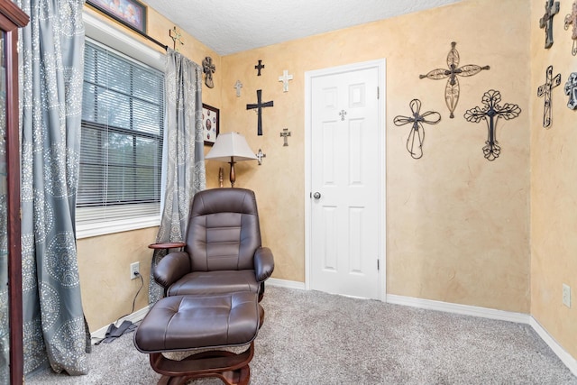 living area with a textured ceiling and carpet floors