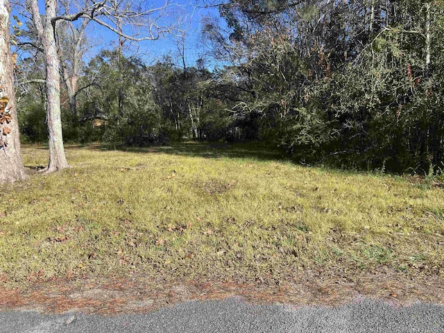 455 S Walnut, Kountze TX, 77625 land for sale