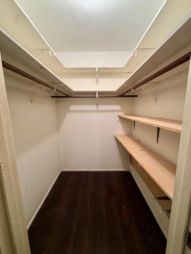 walk in closet featuring dark wood-style floors