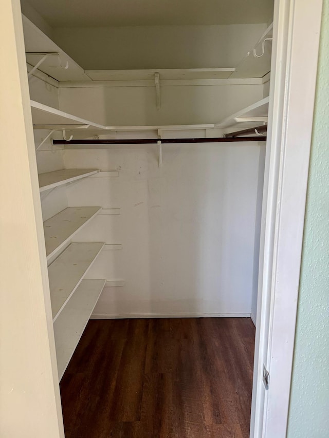 spacious closet featuring wood finished floors