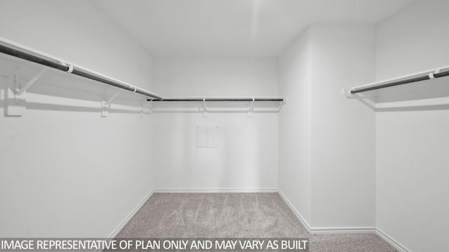 1670 Haidlyns Way, Sour Lake, TX 77659 - spacious closet featuring carpet floors