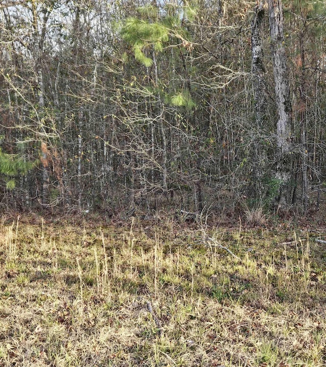 TBD Cravens Camp Rd, Silsbee TX, 77656 land for sale